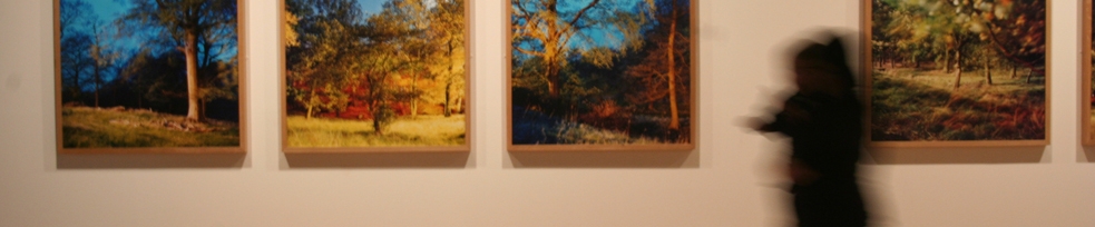 Impressions Gallery