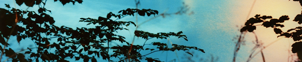 Impressions Gallery