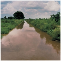 Between Raikot and Barnala Between Raikot and Barnala