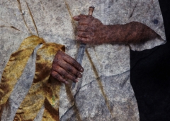 Cassius (detail), 2012 © George Chakravarthi Cassius (detail), 2012 © George Chakravarthi