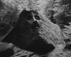 � Tereza Zelenkova, Dog Cemetery Jerwood/Photoworks Awards 2015