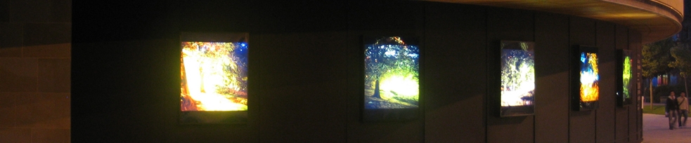 Impressions Gallery