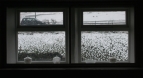 20080729181250_WindowFrameSmall.jpg