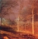 Untitled from the series Sharpe's Wood