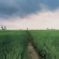 Kapurthala District