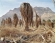 Sinkholes, Ein Gedi, 2011.