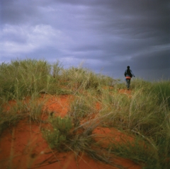 From 'Kalahari', 2009 � Joy Gregory