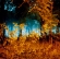 Untitled from the series Sharpe�s Wood (2007