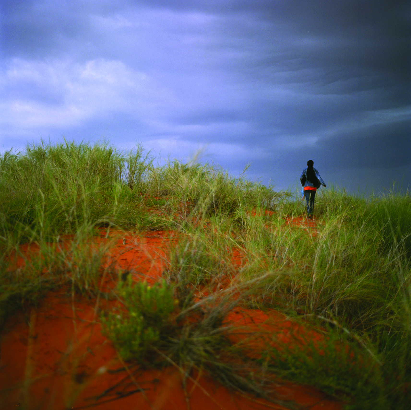 From the series Kalahari 2010