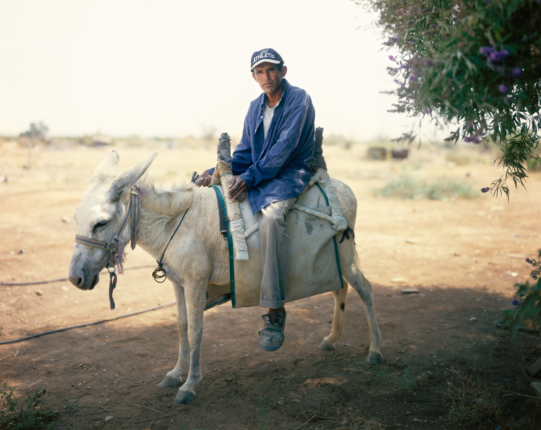 The Man on the White Donkey, HaBiqah, 2006. © Yaakov Israel