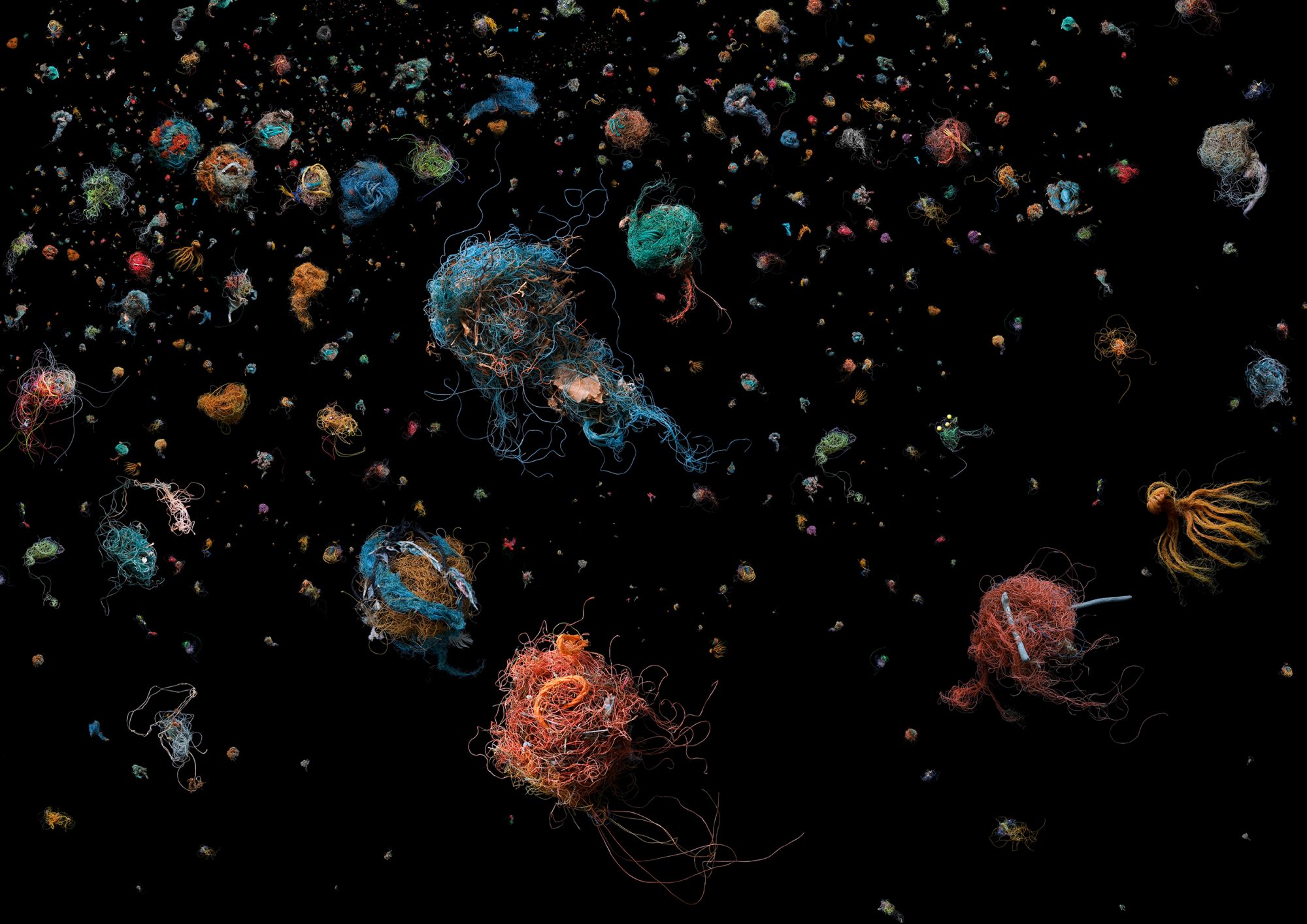 Online Exhibition: Our Plastic Ocean by Mandy Barker at Brighton Museum and Art Gallery — Impressions Gallery