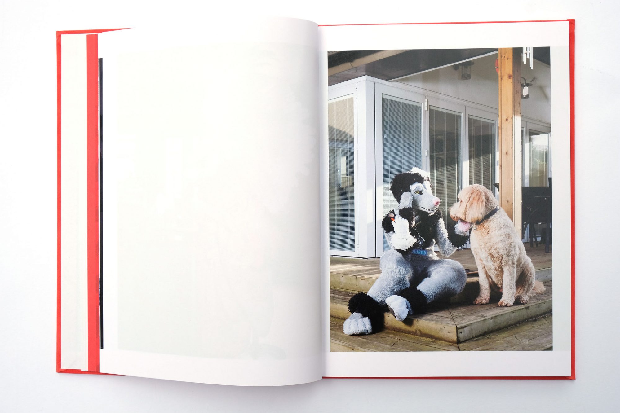 Self-published Showcase: At Home With The Furries by Tom Broadbent — Impressions Gallery