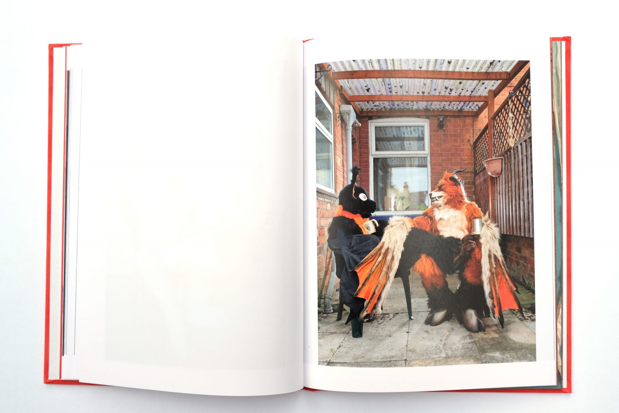 Self-published Showcase: At Home With The Furries by Tom Broadbent — Impressions Gallery