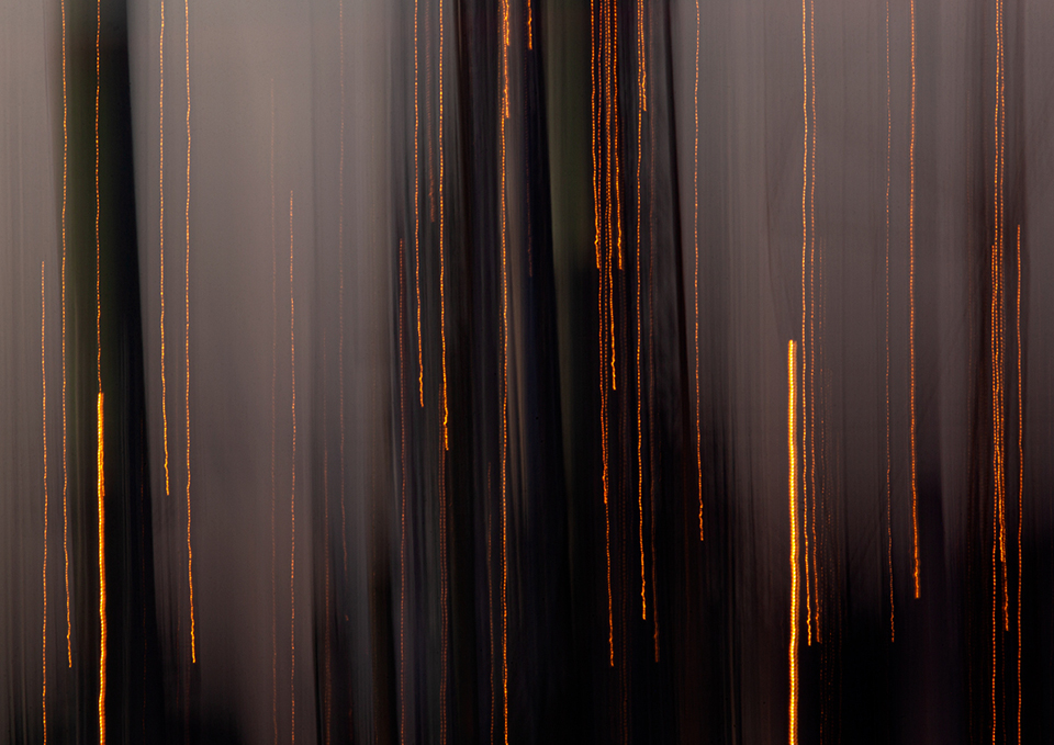 Self-published Showcase: Death Alley by Lewis Arnold — Impressions Gallery