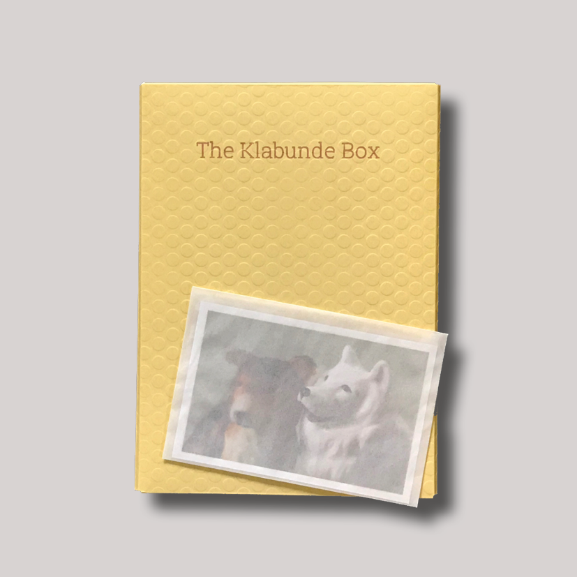 Self-published Showcase: The Klabunde Box and Land Use Excursions by Christine Lorenz — Impressions Gallery