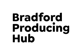 Visual Arts Producer Panel with Bradford Producing Hub — Impressions Gallery