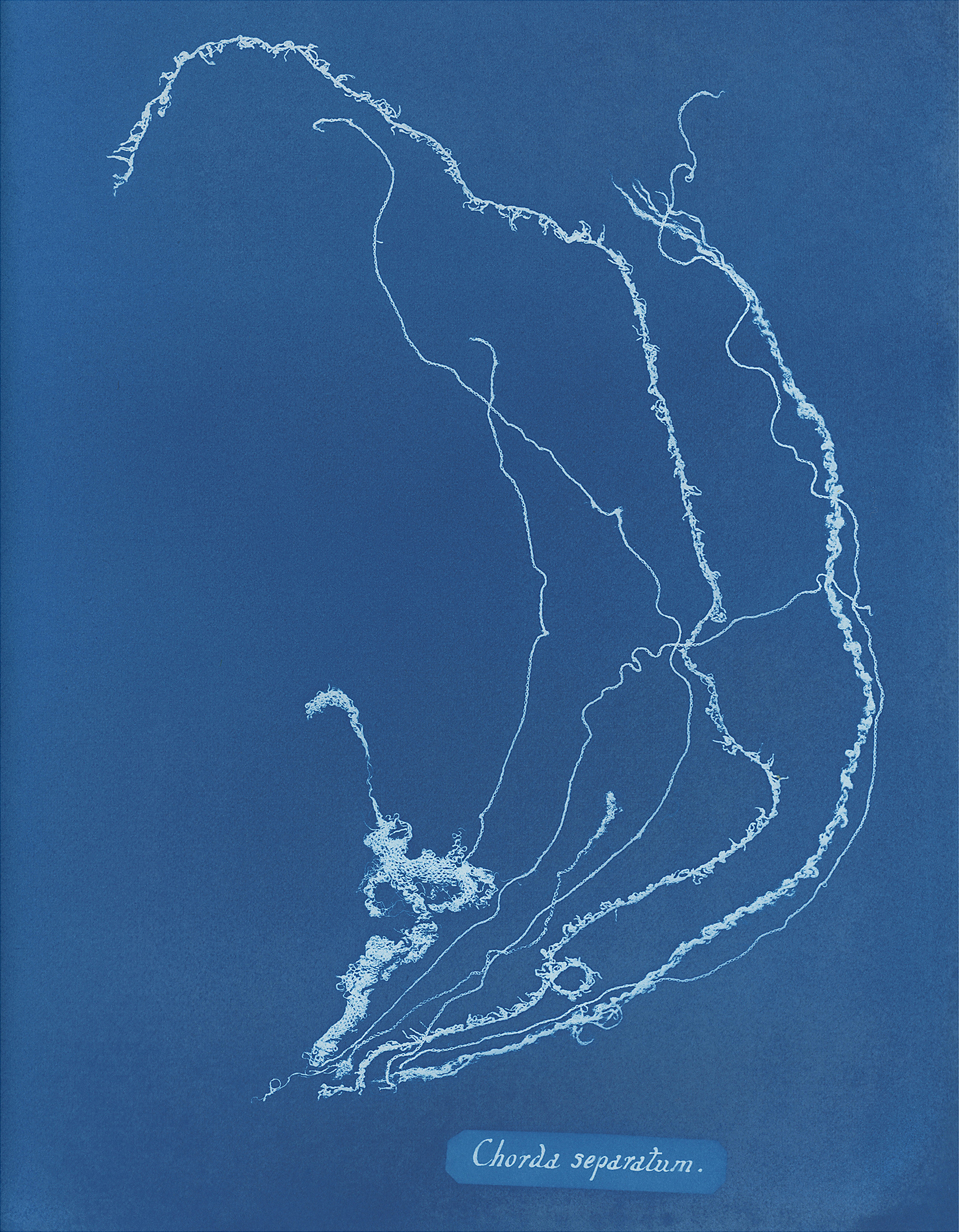 Costing the Earth — Impressions Gallery