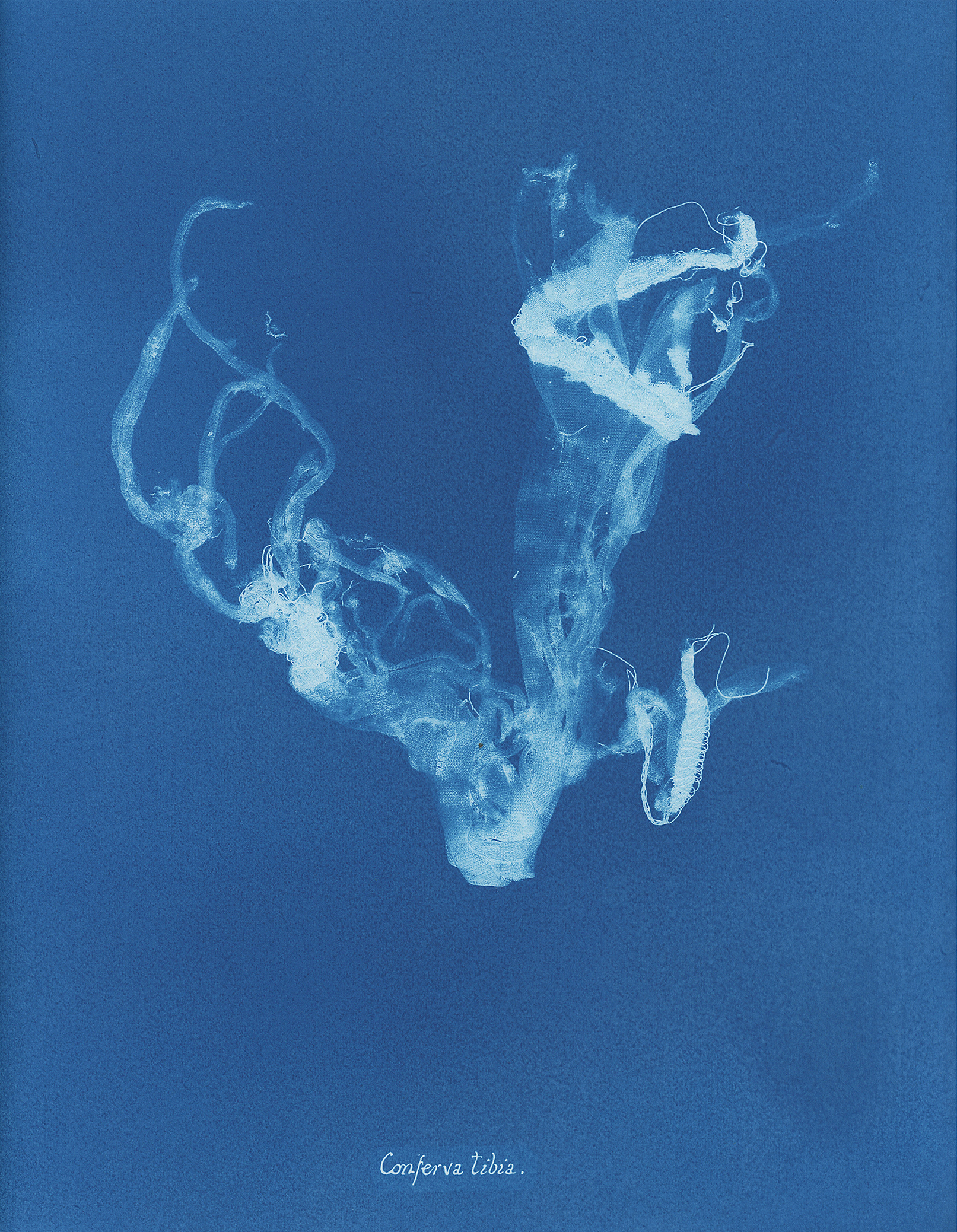 Costing the Earth — Impressions Gallery