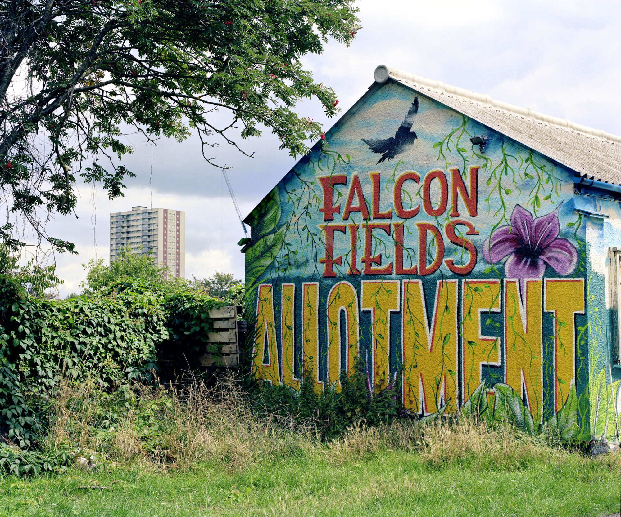 We Feed The UK — Impressions Gallery